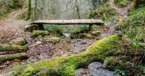 PROVOCA llega este sábado a Ucieda con una jornada ambiental