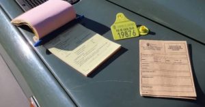 Arranca la temporada de caza en Cantabria con un llamamiento a la seguridad y al…